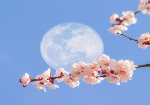 Η Πανσέληνος στον Ζυγό στις 2 Απριλίου 2026.